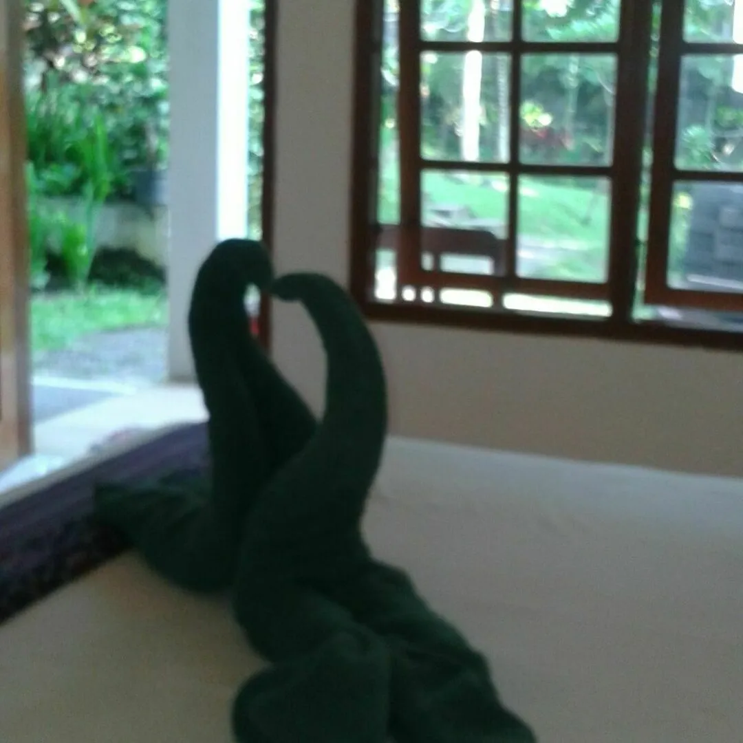 Holiday park Argasoka Bungalows Ubud