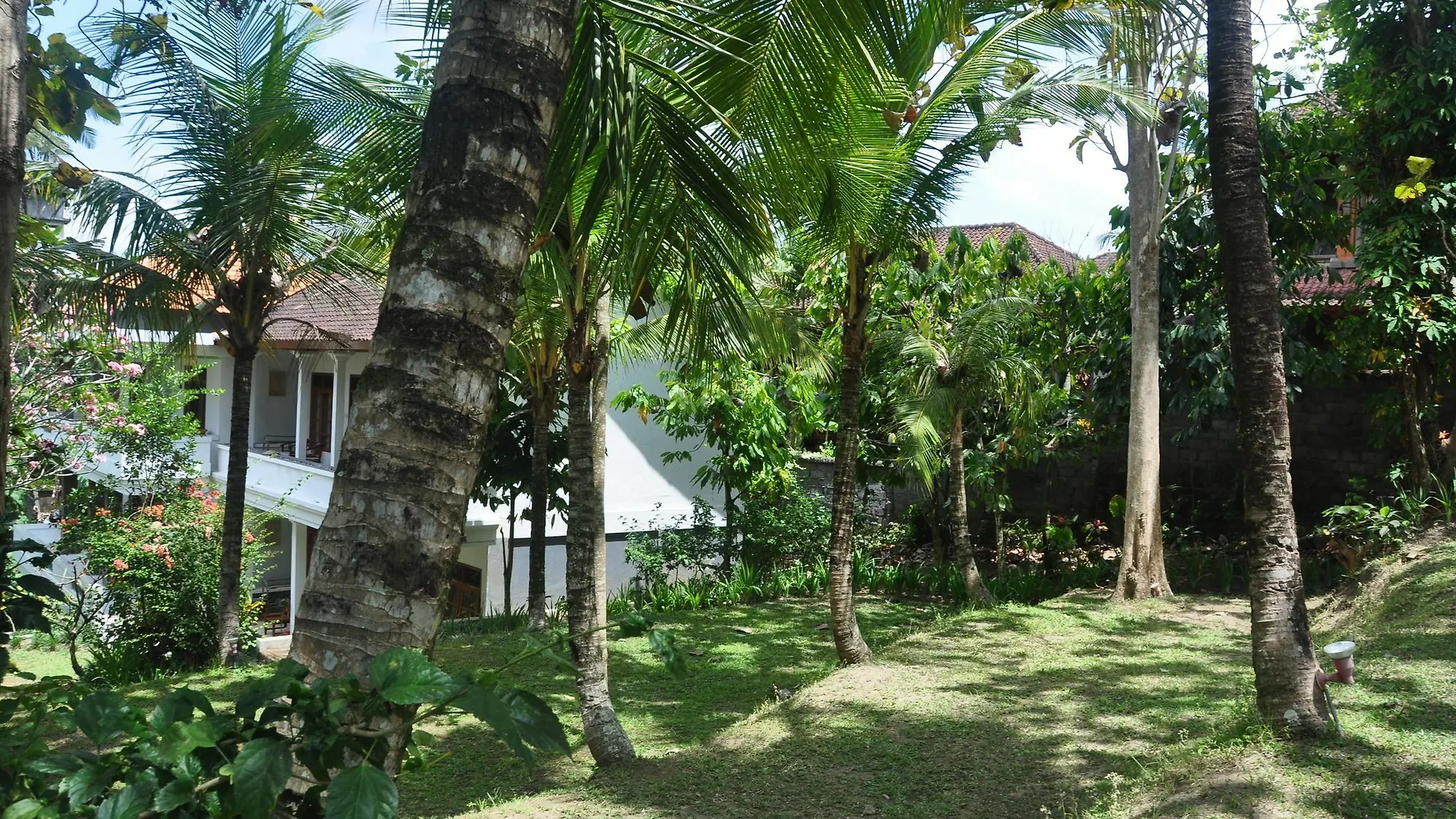 Argasoka Bungalows Ubud Parque de vacaciones